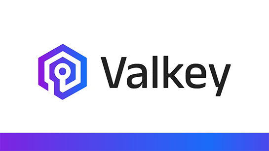 Cover Image for Amazon ElastiCache for Valkey を試した